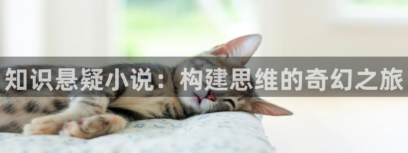 好看的午夜小说：知识悬疑小说：构建思维的奇幻之旅