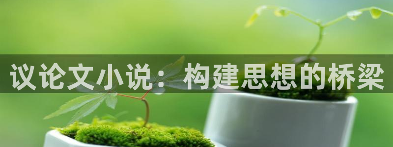 午夜小说书屋：议论文小说：构建思想的桥梁