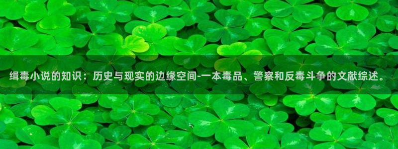 宅男午夜小说：缉毒小说的知识：历史与现实的边缘空间-一本毒品、警察和反毒斗争的文献综述。